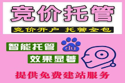 百度推广价格与竞品分析：一则成功案例分享